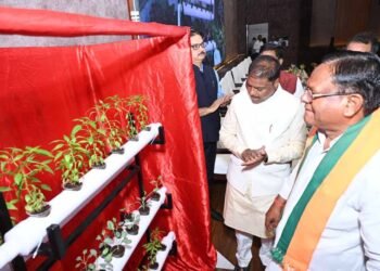 वन आधारित अर्थव्यवस्था को मजबूत करने पर दें जोर: वन मंत्री  कश्यप