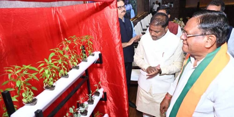 वन आधारित अर्थव्यवस्था को मजबूत करने पर दें जोर: वन मंत्री  कश्यप