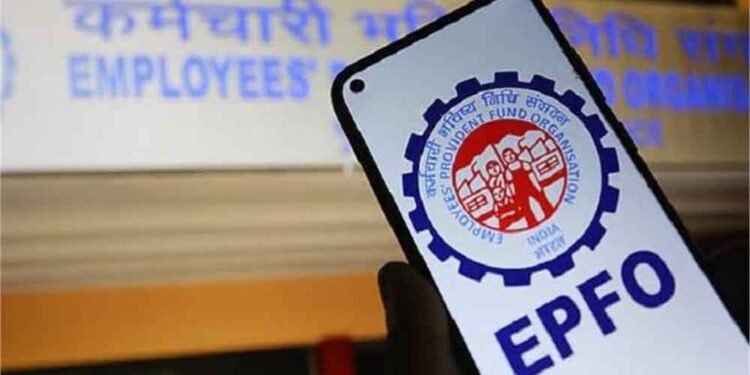 EPFO अपडेट: बिना ऑफिस जाए मिनटों में चेक करें PF बैलेंस और पासबुक, जानिए आसान तरीका