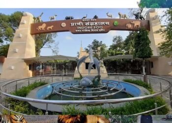 इंदौर चिड़ियाघर में बनेगी अंडर वॉटर टनल, दुबई और सिंगापुर की तर्ज पर 35 करोड़ का मॉडल