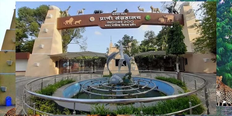 इंदौर चिड़ियाघर में बनेगी अंडर वॉटर टनल, दुबई और सिंगापुर की तर्ज पर 35 करोड़ का मॉडल