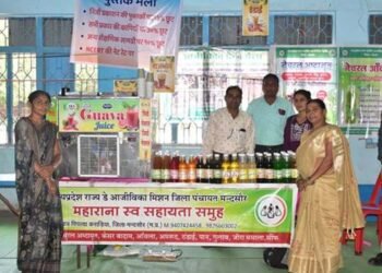 नारी शक्ति वंदन: मंदसौर की महिलाओं ने घोल दी महानगरों में मिठास