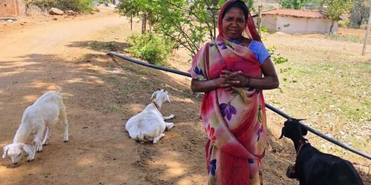 रायपुर : महतारी वंदन योजना से संवर रही पहाड़ी कोरवा परिवारों की तकदीर