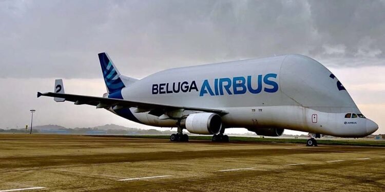 रीवा में उतरेंगे एयरबस जैसे बड़े विमान, रनवे को 2300 मीटर करने के लिए जमीन का होगा अधिग्रहण, 340 करोड़ मुआवजा मिलेगा