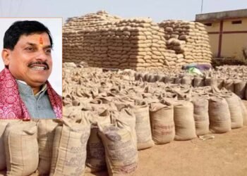 समर्थन मूल्य पर गेहूं उपार्जन का लक्ष्य बढ़ाने भारत सरकार से चर्चा जारी: मुख्यमंत्री डॉ. यादव