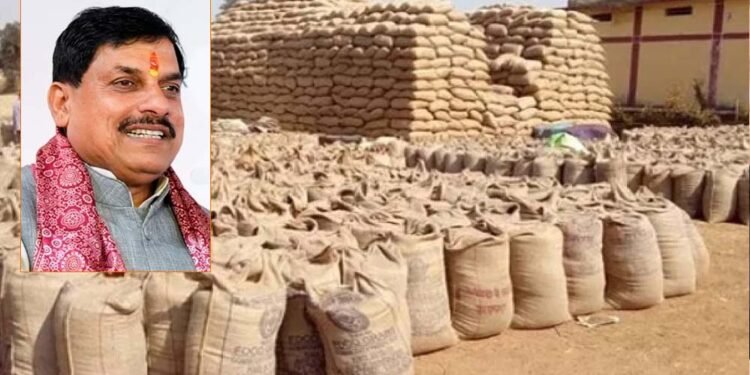 समर्थन मूल्य पर गेहूं उपार्जन का लक्ष्य बढ़ाने भारत सरकार से चर्चा जारी: मुख्यमंत्री डॉ. यादव