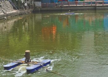 तालाबों की गुणवत्ता सुधारने के लिए निगम की नई पहल, नैनो एरेटर तकनीक से 10 दिन में दिखा असर