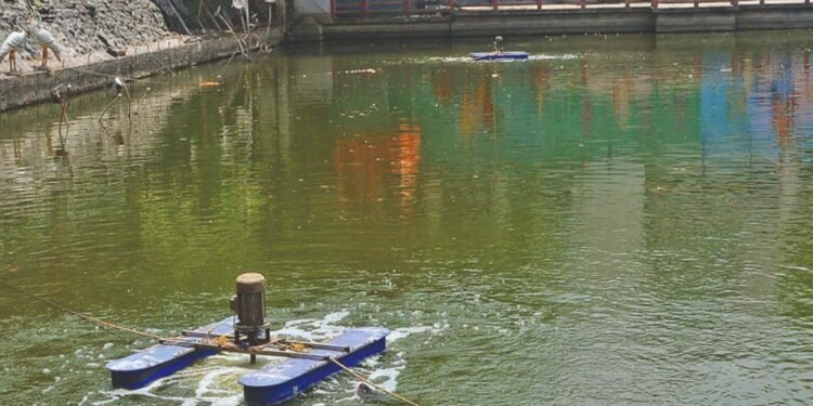 तालाबों की गुणवत्ता सुधारने के लिए निगम की नई पहल, नैनो एरेटर तकनीक से 10 दिन में दिखा असर