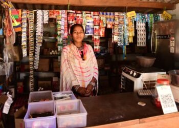 सफलता की कहानी-आजीविका मिशन से रमशीला कश्यप को मिला आत्मनिर्भरता का संबल