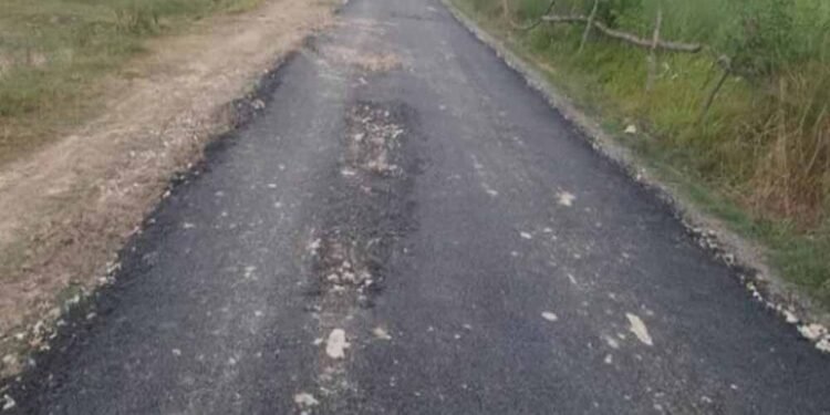 ₹250 करोड़ की सौगात: 235.45 किमी सड़कों से गांवों में विकास की रफ्तार तेज