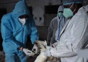 बिलासपुर में बर्ड फ्लू अलर्ट: जांच के लिए AIIMS टीम पहुंची, 10 किमी दायरे में सर्वे शुरू