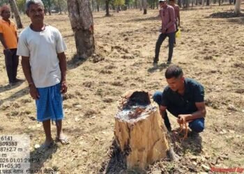 Udanti Sitanadi Tiger Reserve में अतिक्रमण की कोशिश नाकाम, वन विभाग ने 22 लोगों को किया गिरफ्तार