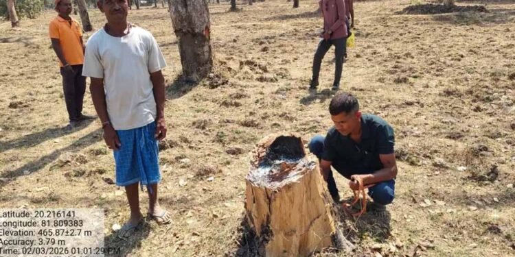 Udanti Sitanadi Tiger Reserve में अतिक्रमण की कोशिश नाकाम, वन विभाग ने 22 लोगों को किया गिरफ्तार