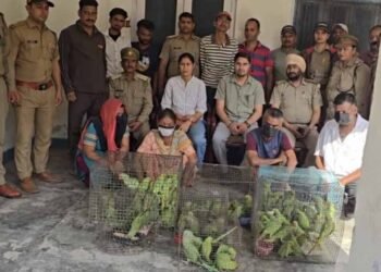 जगदलपुर में वन विभाग टीम पर हमला, तोतों की अवैध बिक्री पर कार्रवाई के दौरान हंगामा