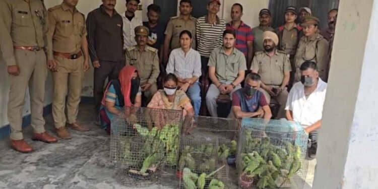 जगदलपुर में वन विभाग टीम पर हमला, तोतों की अवैध बिक्री पर कार्रवाई के दौरान हंगामा