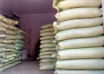 Bastar में खाद-बीज घोटाले की बड़ी जांच: करोड़ों के खेल में जनपद पंचायत अफसरों की भूमिका संदिग्ध