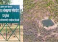 उदंती सीतानदी टाइगर रिजर्व में ‘फायर-वॉटर’ मॉडल का कमाल, 750 जल स्रोत और हाईटेक निगरानी से जंगल सुरक्षित