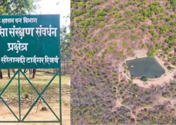 उदंती सीतानदी टाइगर रिजर्व में ‘फायर-वॉटर’ मॉडल का कमाल, 750 जल स्रोत और हाईटेक निगरानी से जंगल सुरक्षित
