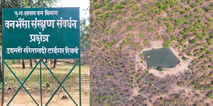 उदंती सीतानदी टाइगर रिजर्व में ‘फायर-वॉटर’ मॉडल का कमाल, 750 जल स्रोत और हाईटेक निगरानी से जंगल सुरक्षित