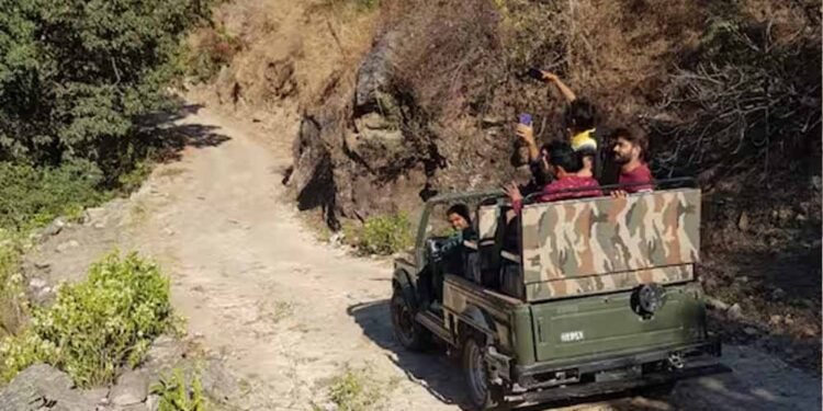 Kawardha में जल्द शुरू होगी जंगल सफारी, 35 किमी रूट पर 22 बार नदी पार करने का रोमांच