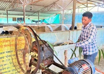 फलता की कहानी