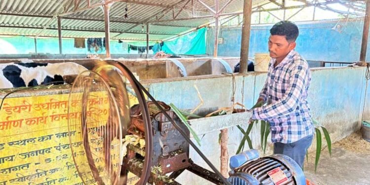 फलता की कहानी