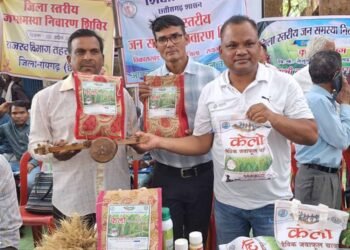 लैलूंगा की पहचान बना ‘केलो’ जैविक जंवाफूल चावल