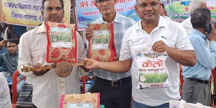 लैलूंगा की पहचान बना ‘केलो’ जैविक जंवाफूल चावल