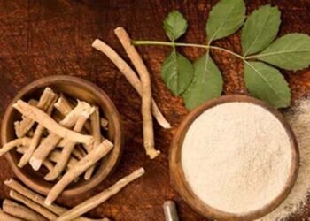 FSSAI का बड़ा फैसला: अश्वगंधा की पत्तियों पर रोक क्यों? जानें जड़ के फायदे और नुकसान