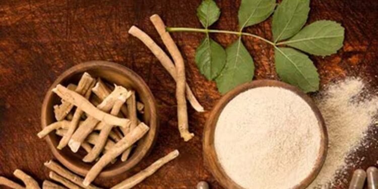 FSSAI का बड़ा फैसला: अश्वगंधा की पत्तियों पर रोक क्यों? जानें जड़ के फायदे और नुकसान