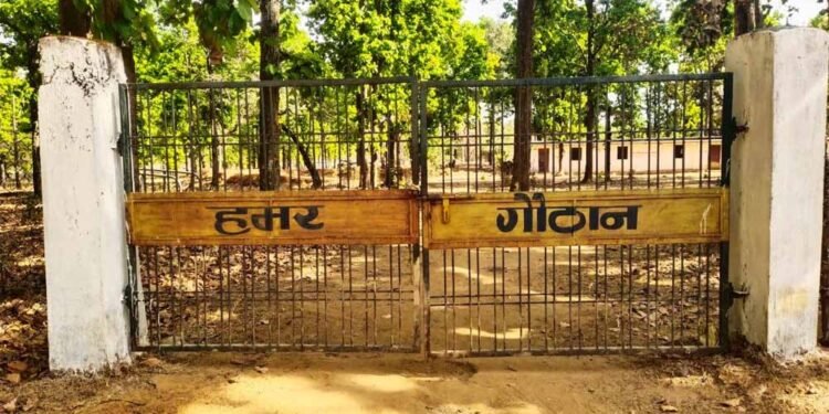 धोवाताल की 60 महिलाओं ने रची आत्मनिर्भरता की मिसाल