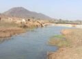 मनरेगा से पनारी नाले का जीर्णोद्धार: 1200 ग्रामीणों को पेयजल व सिंचाई का लाभ