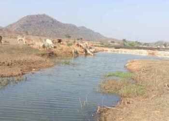 मनरेगा से पनारी नाले का जीर्णोद्धार: 1200 ग्रामीणों को पेयजल व सिंचाई का लाभ