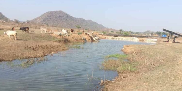 मनरेगा से पनारी नाले का जीर्णोद्धार: 1200 ग्रामीणों को पेयजल व सिंचाई का लाभ