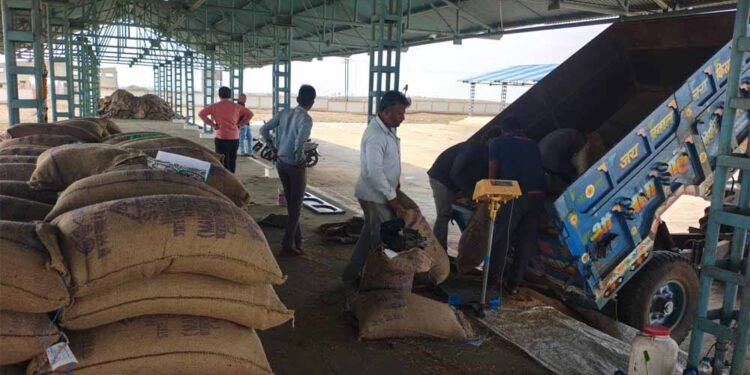 समर्थन मूल्य पर पहले दिन हुई 1616 क्विंटल गेहूँ की खरीदी : खाद्य मंत्री राजपूत