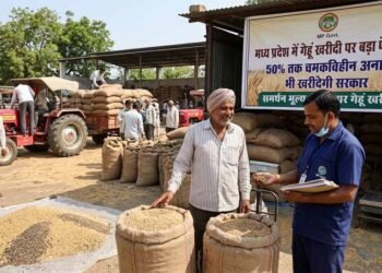 मध्य प्रदेश में गेहूं खरीदी पर बड़ा फैसला: 50% तक चमकविहीन अनाज भी खरीदेगी सरकार