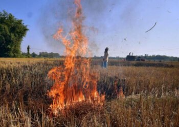 नरवाई में आग की 1016 घटनाएं, 19 किसानों पर 57 हजार जुर्माना, 852 को चिह्नित किया गया