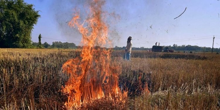 नरवाई में आग की 1016 घटनाएं, 19 किसानों पर 57 हजार जुर्माना, 852 को चिह्नित किया गया