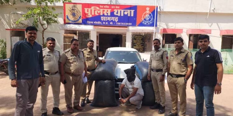 मध्यप्रदेश पुलिस की अवैध मादक पदार्थों के विरूद्ध प्रभावी कार्यवाही