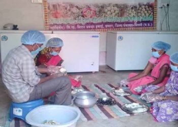 सीताफल उत्पादन एवं प्रसंस्करण से महिला स्व-सहायता समूहों की आर्थिक स्थिति में सुधार