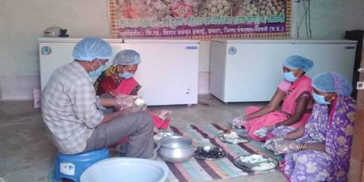 सीताफल उत्पादन एवं प्रसंस्करण से महिला स्व-सहायता समूहों की आर्थिक स्थिति में सुधार