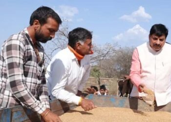 जिन किसानों के स्लॉट बुक हैं, उनसे 28 मई तक गेहूं खरीदेगी सरकार : मुख्यमंत्री डॉ. यादव