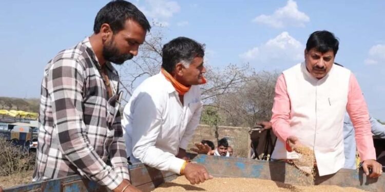 जिन किसानों के स्लॉट बुक हैं, उनसे 28 मई तक गेहूं खरीदेगी सरकार : मुख्यमंत्री डॉ. यादव