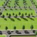 MP में Township Development पर सख्ती, सरकार ने लागू किए नए नियम