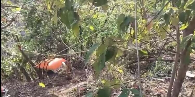 महाबलेश्वर में दर्दनाक हादसा! 800 फीट गहरी खाई में गिरी स्कॉर्पियो, 8 युवकों की मौत