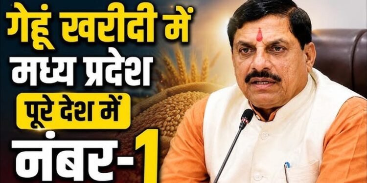 मध्य प्रदेश ने रचा इतिहास, किसानों से सबसे ज्यादा गेहूं खरीदने वाला राज्य बना