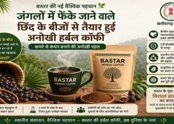 रायपुर : बस्तर की नई वैश्विक पहचान: जंगलों में फेंके जाने वाले छिंद के बीजों से तैयार हुई अनोखी हर्बल कॉफी