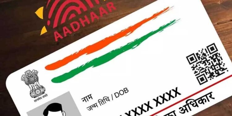 छत्तीसगढ़ में बड़ा खुलासा: आधार लिंकिंग से स्कूलों में फर्जी नामांकन का खेल हुआ उजागर, 10 लाख छात्र कम