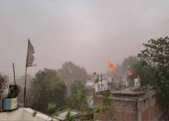 तेज आंधी-बारिश से रायपुर बेहाल, पेड़ गिरे, फिर बिगड़ सकता है मौसम