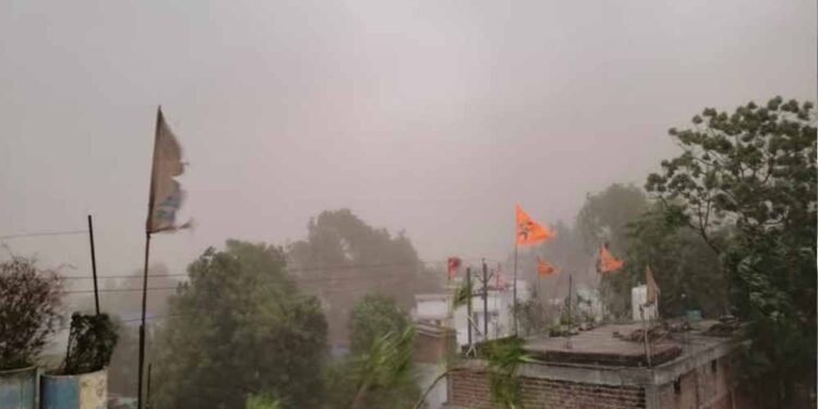 तेज आंधी-बारिश से रायपुर बेहाल, पेड़ गिरे, फिर बिगड़ सकता है मौसम